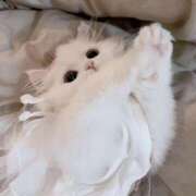 すずね・SP ^ᴗ.ᴗ^♪🤍 西川口ティアラ