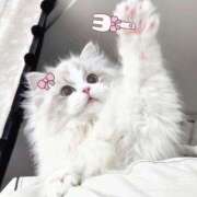 すずね・SP ( ∪･ω･∪ )♡ 西川口ティアラ