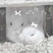 ヒメ日記 2026/01/20 15:02 投稿 すずね・SP 西川口ティアラ