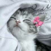 ヒメ日記 2026/01/22 15:02 投稿 すずね・SP 西川口ティアラ