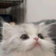 ヒメ日記 2026/01/24 15:02 投稿 すずね・SP 西川口ティアラ