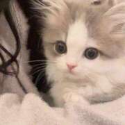 すずね・SP 👶🏻♡ 西川口ティアラ