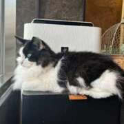 ヒメ日記 2025/12/20 23:16 投稿 【新人】なる 神奈川小田原ちゃんこ