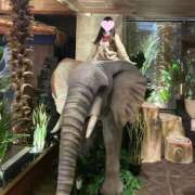 ヒメ日記 2026/01/17 20:20 投稿 【新人】なる 神奈川小田原ちゃんこ