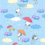 ヒメ日記 2025/09/04 13:41 投稿 ちづる 大奥 梅田店