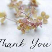 ヒメ日記 2025/12/02 20:02 投稿 ちづる 大奥 梅田店