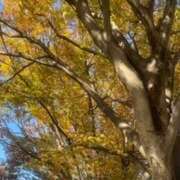 ヒメ日記 2025/11/21 11:53 投稿 ふみな もしも素敵な妻が指輪をはずしたら・・・カーラ