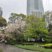 雪乃（ゆきの） 今日もありがとうございました🌸 ビッグバード