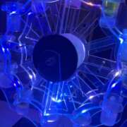 ひなみ 昨日はほんとに特別すぎた日🥺✨ ベイビーモコ