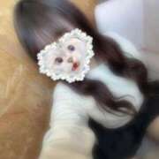 ヒメ日記 2025/12/27 15:18 投稿 のえる 池袋人妻城