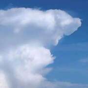 ヒメ日記 2025/08/15 17:29 投稿 あずさ CELEB FACE FUKUOKA