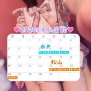 ヒメ日記 2026/04/06 20:00 投稿 ともか ドリーム水戸