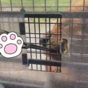 ともか さっそく夏の思い出🦁 ドリーム水戸