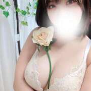 ヒメ日記 2025/08/03 21:31 投稿 このは にゃんだ☆full☆MIX（にゃんだふるみっくす）