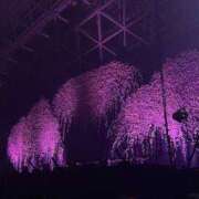 ヒメ日記 2026/03/23 12:02 投稿 井上なぎ にゃんだ☆full☆MIX（にゃんだふるみっくす）