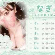 井上なぎ 9月の予定💞 にゃんだ☆full☆MIX（にゃんだふるみっくす）