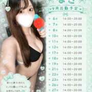 ヒメ日記 2026/09/05 17:00 投稿 井上なぎ にゃんだ☆full☆MIX（にゃんだふるみっくす）