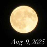 ヒメ日記 2025/08/10 14:05 投稿 りんか 横浜人妻花壇本店