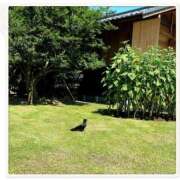 ヒメ日記 2025/08/13 16:19 投稿 りんか 横浜人妻花壇本店