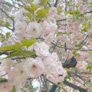 ヒメ日記 2026/04/15 17:25 投稿 近本まな 全裸の極みorドッキング痴漢電車