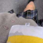 ヒメ日記 2025/10/11 10:00 投稿 石神 ろこ アリス女学院 日本橋校