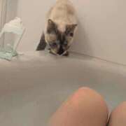 ヒメ日記 2026/03/17 18:20 投稿 石神 ろこ アリス女学院 日本橋校