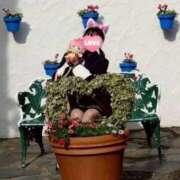 ヒメ日記 2026/03/25 11:17 投稿 石神 ろこ アリス女学院 日本橋校