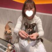 ヒメ日記 2025/08/07 12:19 投稿 めぐ 横浜人妻ヒットパレード（シンデレラグループ）