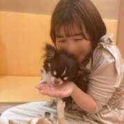 ヒメ日記 2025/08/29 22:05 投稿 めぐ 横浜人妻ヒットパレード（シンデレラグループ）