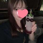 ヒメ日記 2025/07/24 14:16 投稿 モカ エピソード(品川)