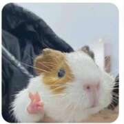 ヒメ日記 2025/09/07 12:16 投稿 モカ エピソード(品川)