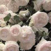 ヒメ日記 2025/09/05 14:52 投稿 あまね AFTER V（アフターファイブ）