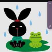 ヒメ日記 2025/08/11 10:32 投稿 坂井 HERMINE-エルミネ-