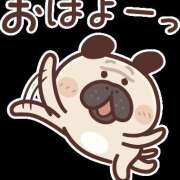 ヒメ日記 2025/08/26 11:06 投稿 坂井 HERMINE-エルミネ-