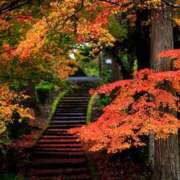 ヒメ日記 2025/09/16 11:34 投稿 坂井 HERMINE-エルミネ-