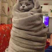 ヒメ日記 2026/01/08 07:14 投稿 坂井 HERMINE-エルミネ-