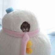 ヒメ日記 2026/01/29 07:44 投稿 坂井 HERMINE-エルミネ-