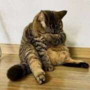 ヒメ日記 2026/02/24 17:22 投稿 坂井 HERMINE-エルミネ-