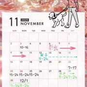 ヒメ日記 2025/10/27 00:01 投稿 らむ ドリーム水戸