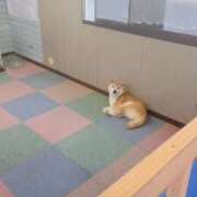 ヒメ日記 2025/11/14 19:10 投稿 らむ ドリーム水戸