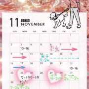 ヒメ日記 2025/11/22 19:46 投稿 らむ ドリーム水戸