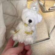 ヒメ日記 2025/12/19 13:10 投稿 らむ ドリーム水戸