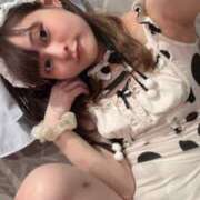 ヒメ日記 2025/12/29 13:10 投稿 らむ ドリーム水戸