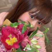 ヒメ日記 2026/01/24 00:40 投稿 らむ ドリーム水戸