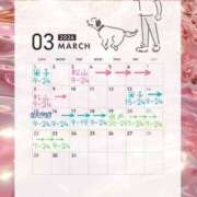 ヒメ日記 2026/02/13 23:20 投稿 らむ ドリーム水戸