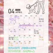 ヒメ日記 2026/03/12 23:01 投稿 らむ ドリーム水戸