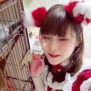 ヒメ日記 2026/04/18 09:40 投稿 らむ ドリーム水戸