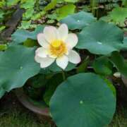 ヒメ日記 2025/07/20 20:39 投稿 くろな ドMな奥様 京都店