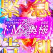 ヒメ日記 2025/11/02 15:27 投稿 くろな ドMな奥様 京都店