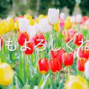 ヒメ日記 2026/04/05 09:12 投稿 くろな ドMな奥様 京都店